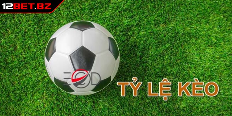 Theo dõi biến động tỷ lệ cược
