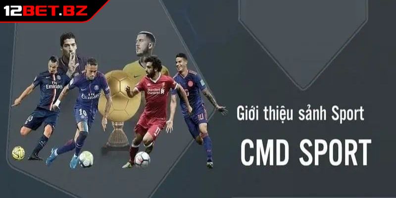 Tổng quan sảnh thể thao CMD 12Bet